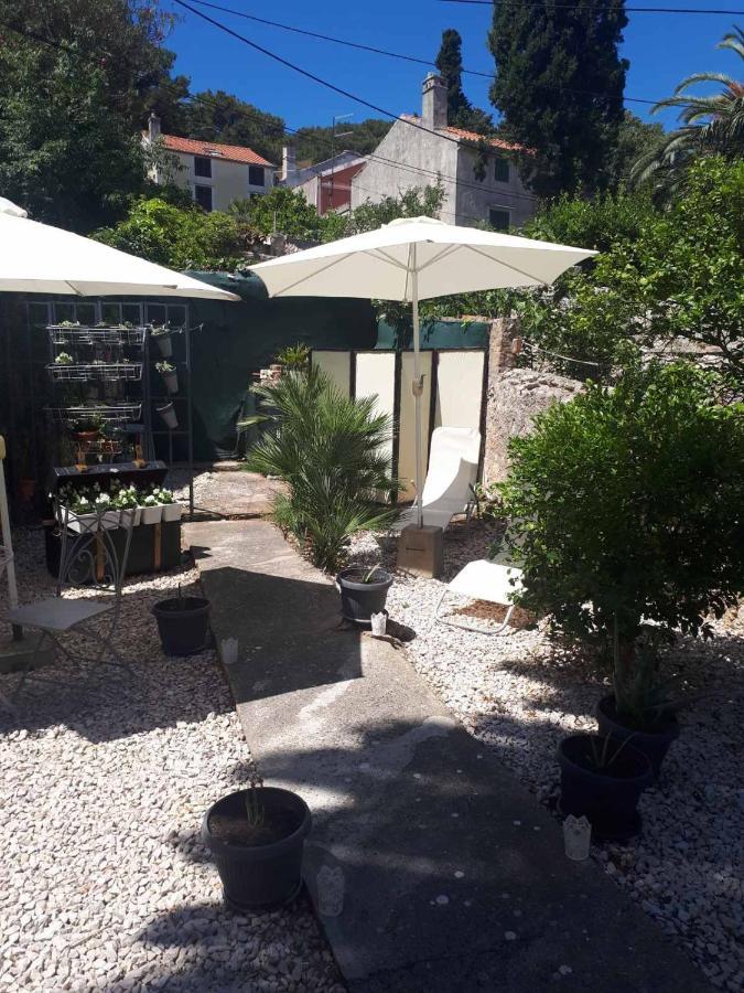 Apartments Petra 23 木洛希尼 外观 照片